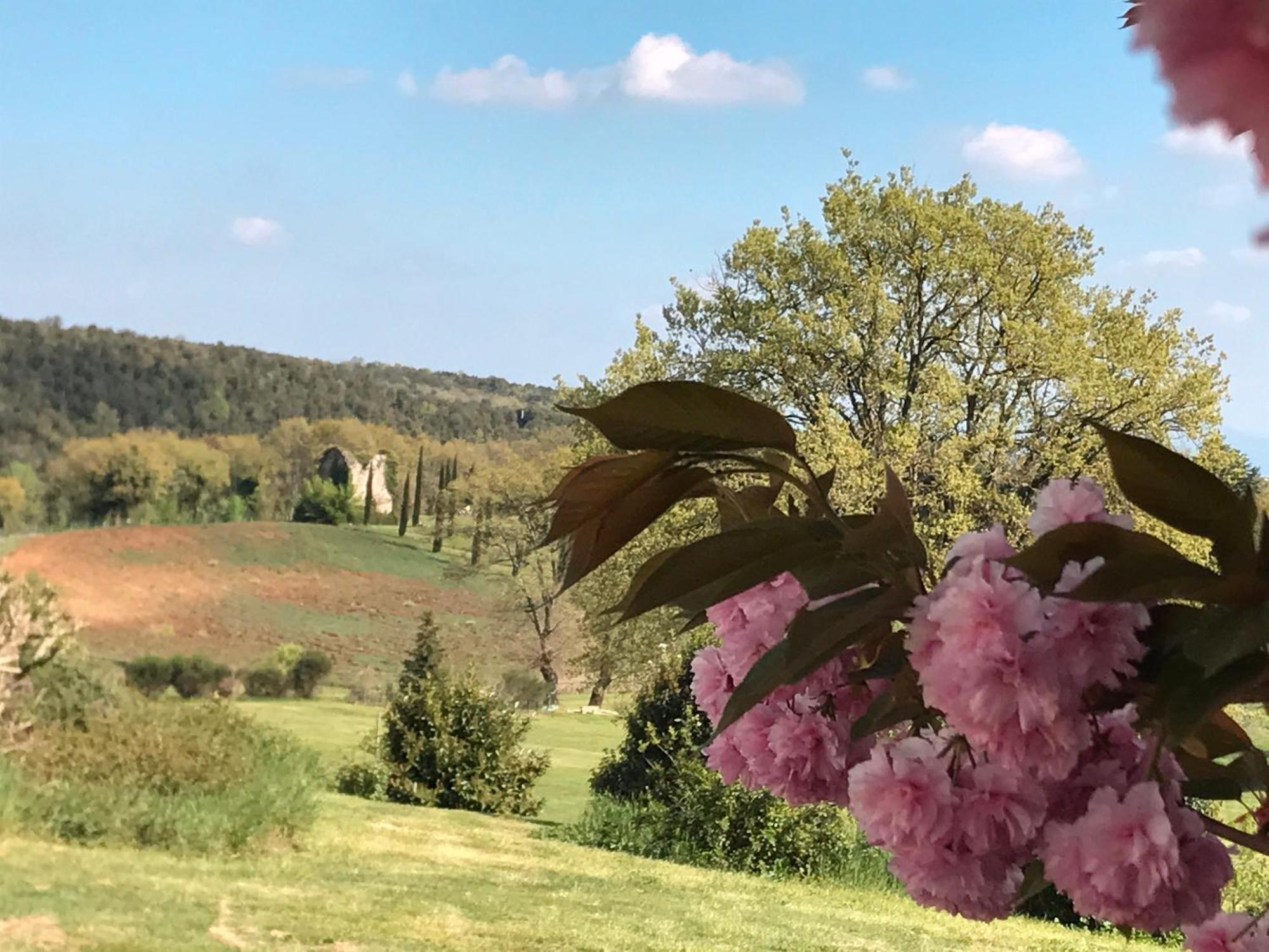 Tenuta Del Gallo Amelia Dış mekan fotoğraf