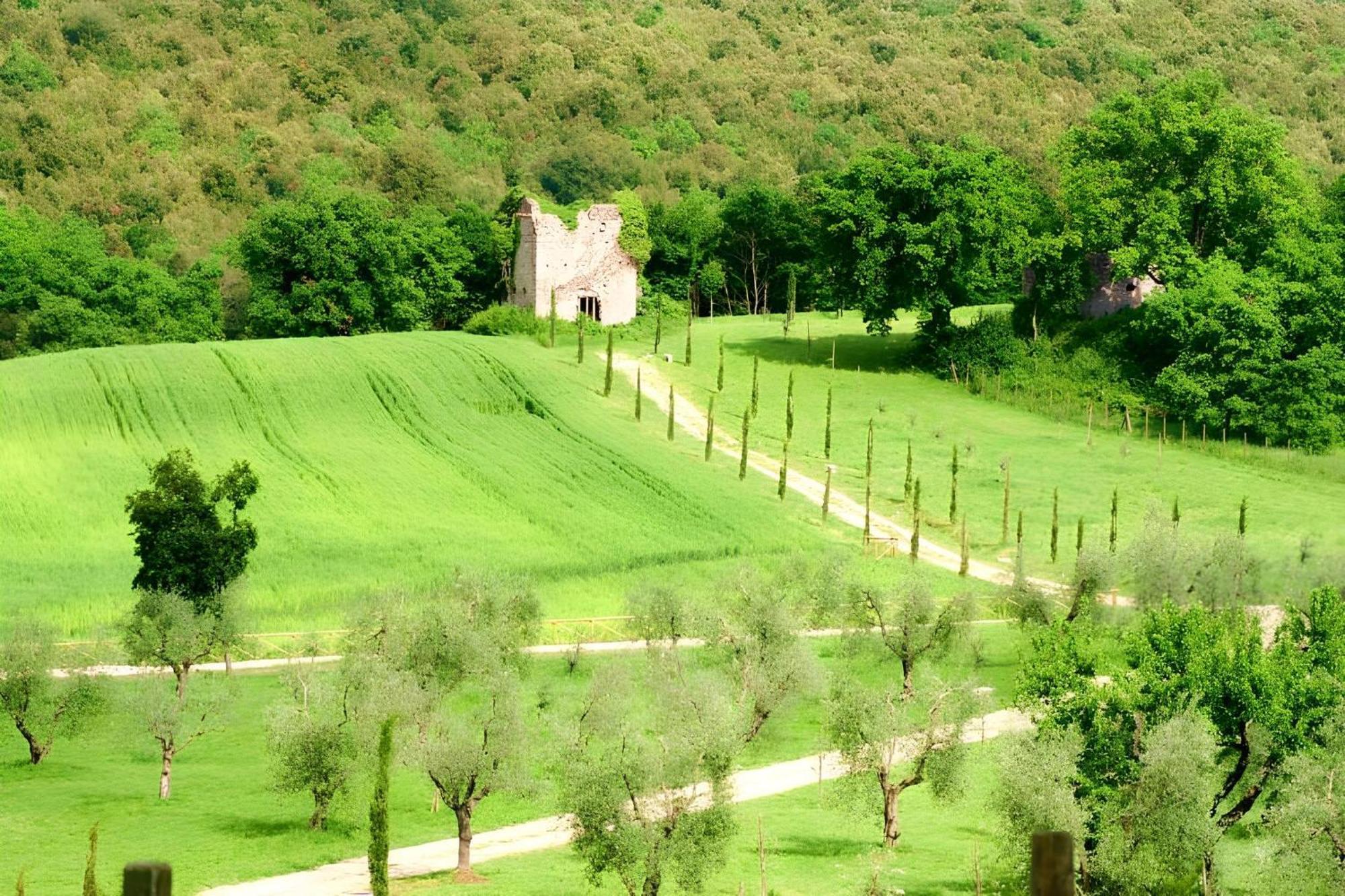 Tenuta Del Gallo Amelia Dış mekan fotoğraf