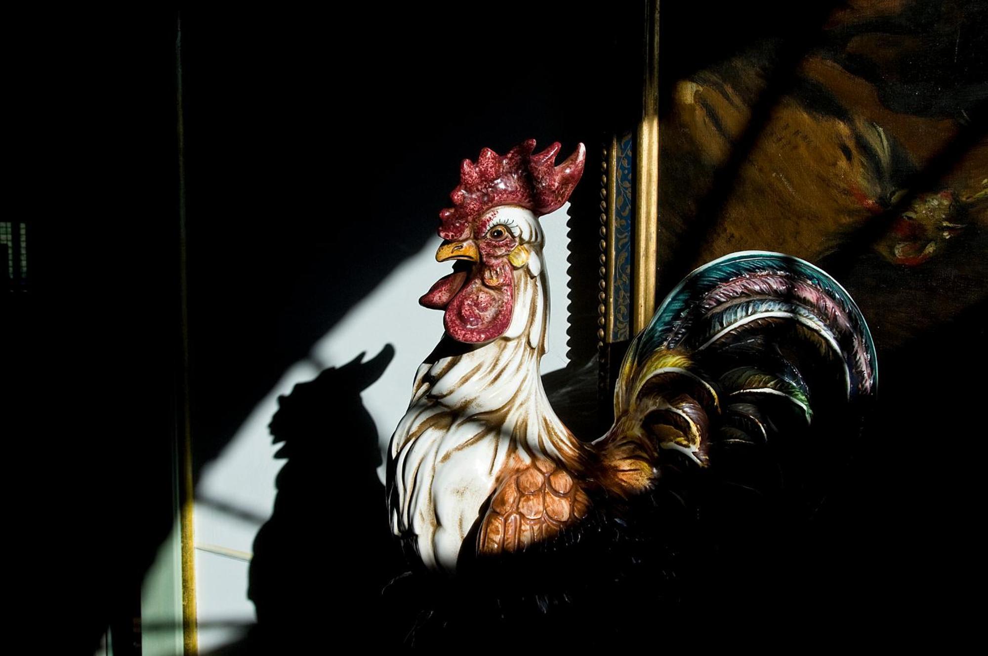 Tenuta Del Gallo Amelia Dış mekan fotoğraf